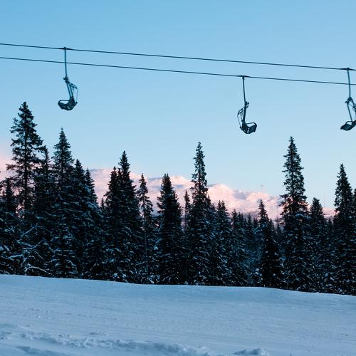 Photo #2943646