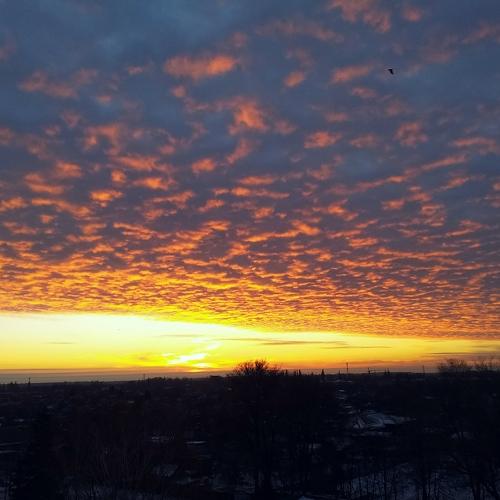 Photo #2944118