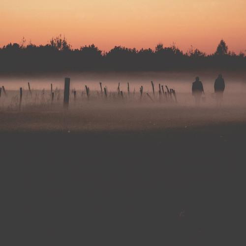 Photo #2944675