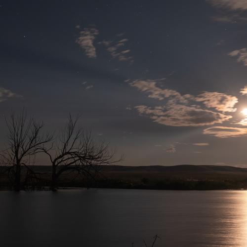 Night sun. Ночное солнце.