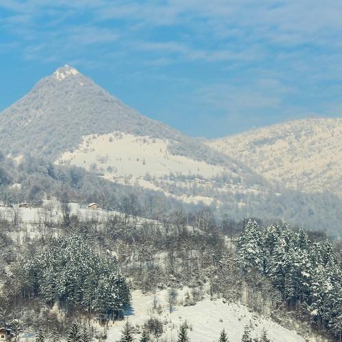 Winter city