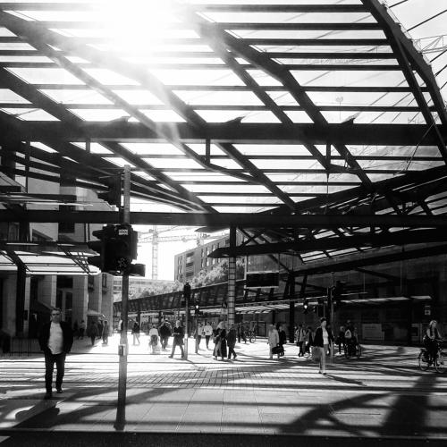 Shadows