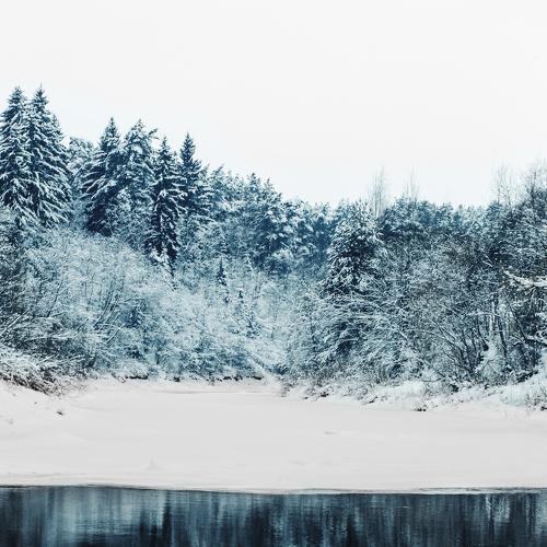 Photo #2946571