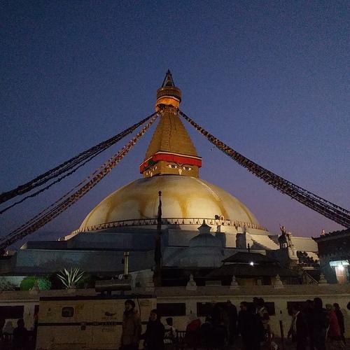 Photo #2946637