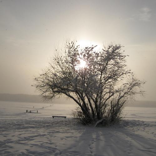 Photo #2948004
