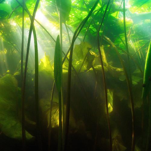 Обратная сторона реки.