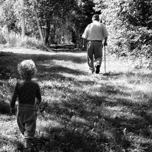 Photo #2948609
