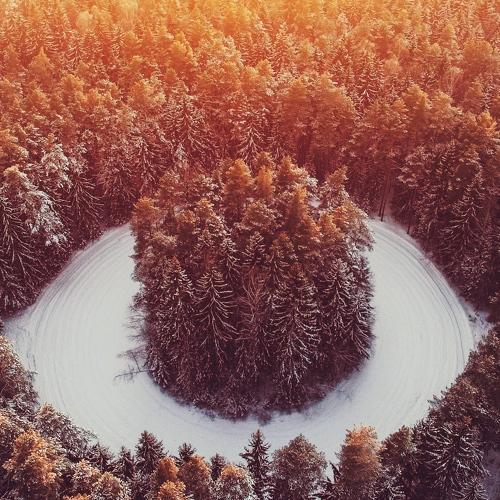 Photo #2948997