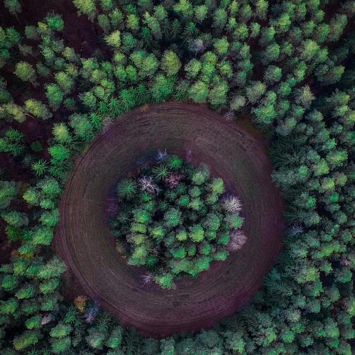 Photo #2949122