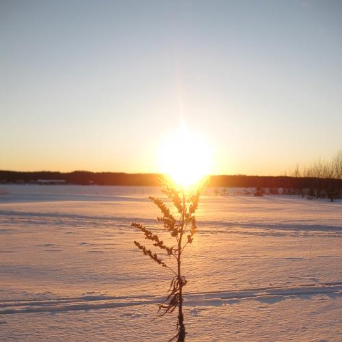 Photo #2949679