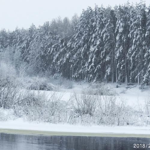 Photo #2950418