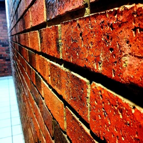 Photo #2950860