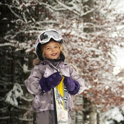 Photo #2951442