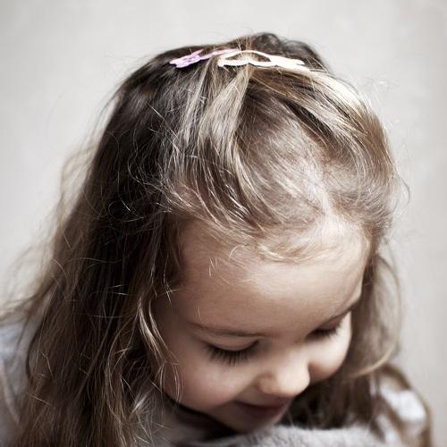 Photo #2951445