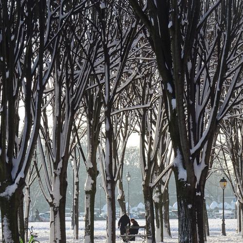 Paris - Breakfast in the snow