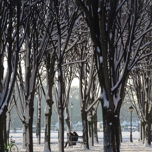 Paris - Breakfast in the snow II