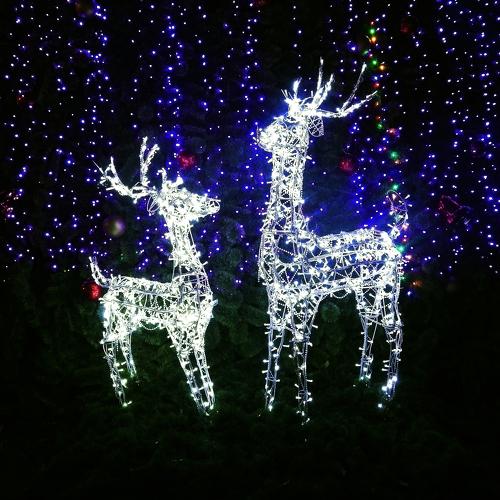 Deer near the Christmas tree