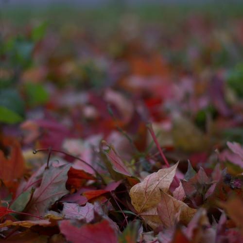 Photo #2951654