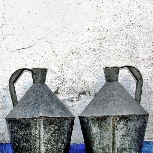 Photo #2951801