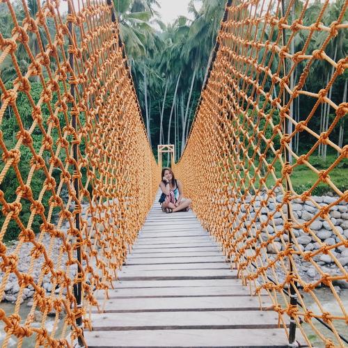 Bridge