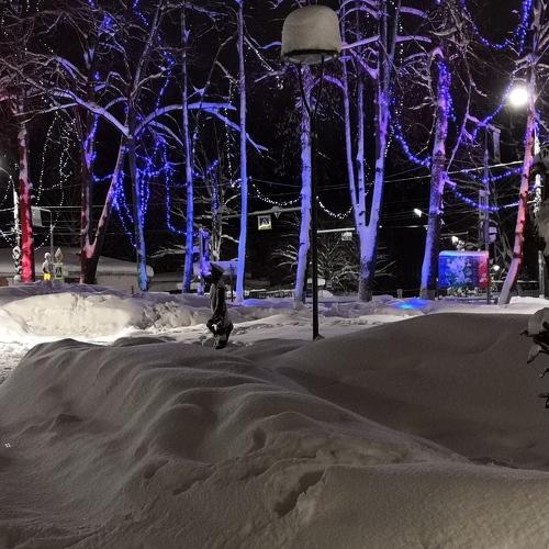 Photo #2951973