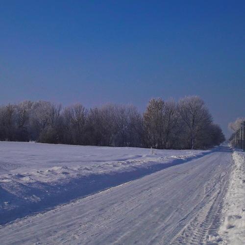 Photo #2952593