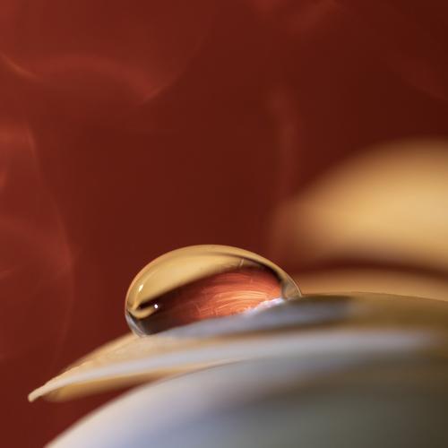 Photo #2953246