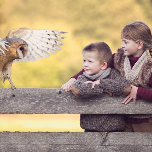 wild meeting