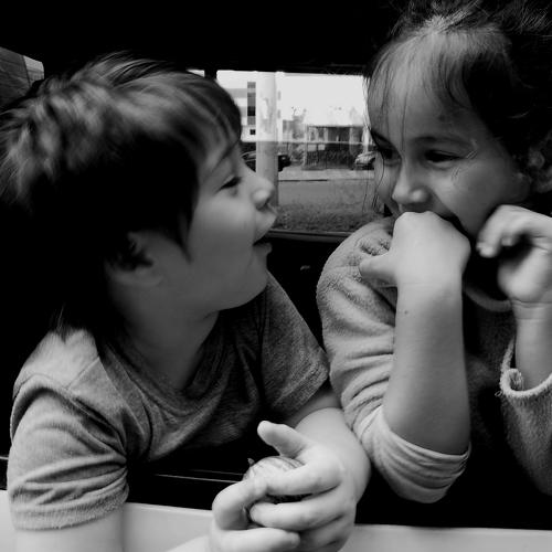Photo #2953556