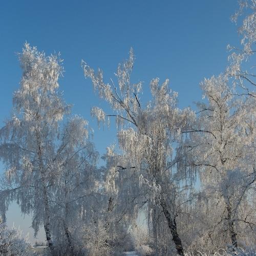 Photo #2953958