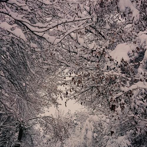 Beneath the snow covered tunnel