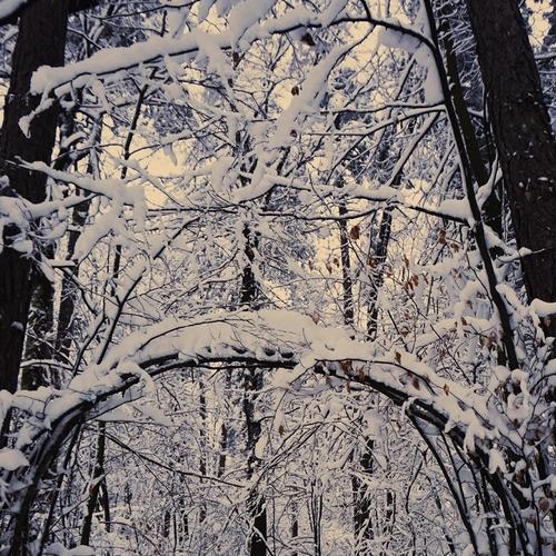 Art gallery in snow
