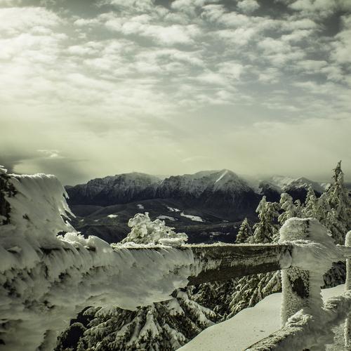 Cold Nature