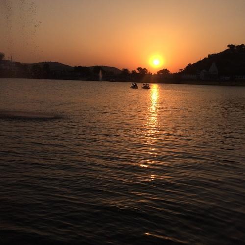 Photo #2954613