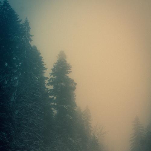 Cold Fog