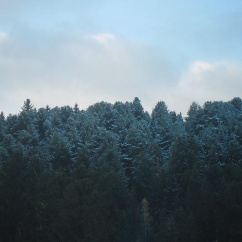 Первый снег