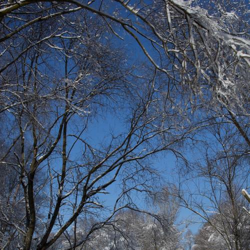 Photo #2955780