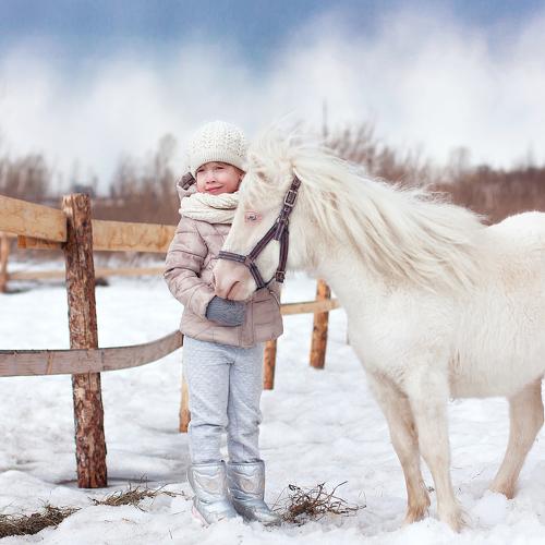 Photo #2955819