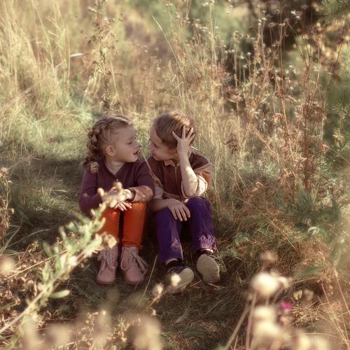 Photo #2955835