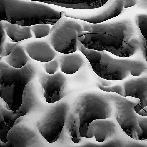 Dire snow