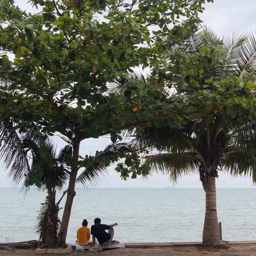 Photo #2956077