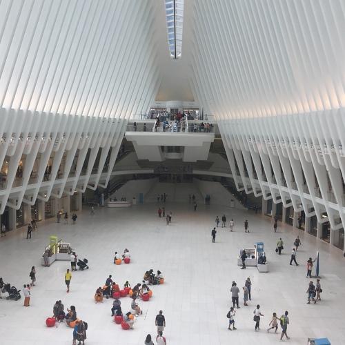 Inside the White Whale