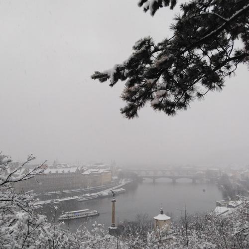 Photo #2956820