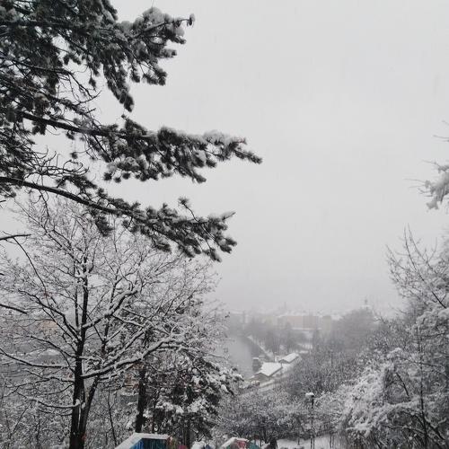 Photo #2956829