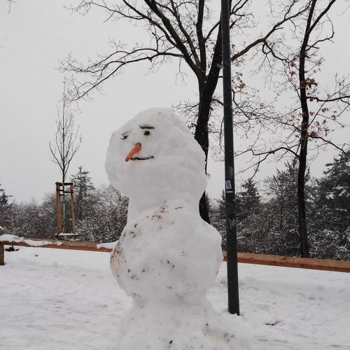 Photo #2956832