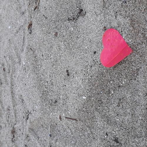 Love is everywhere when you're ready to embrace