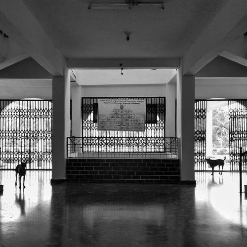 Symmetry