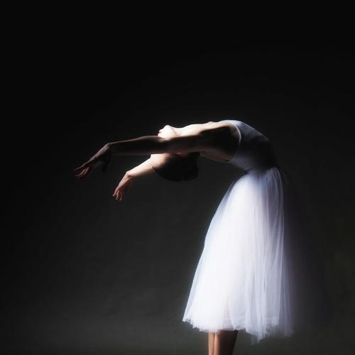 Photo #2959649