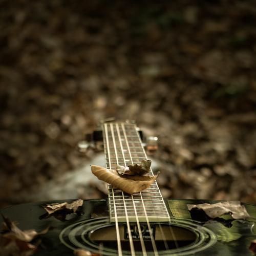 Sound of silence
