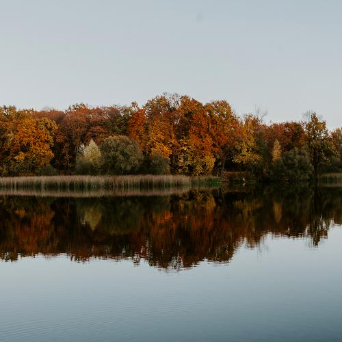 natural reflection